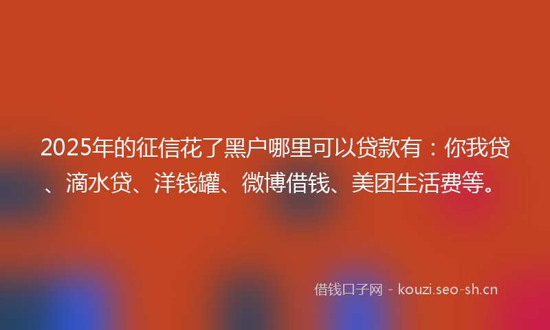 2025年的征信花了黑户哪里可以贷款有：你我贷、滴水贷、洋钱罐、微博借钱、美团生活费等。