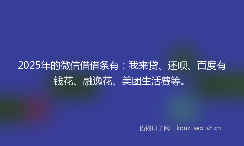 2025年的微信借借条有：我来贷、还呗、百度有钱花、融逸花、美团生活费等。