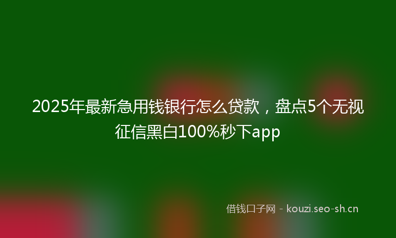2025年最新急用钱银行怎么贷款，盘点5个无视征信黑白100%秒下app