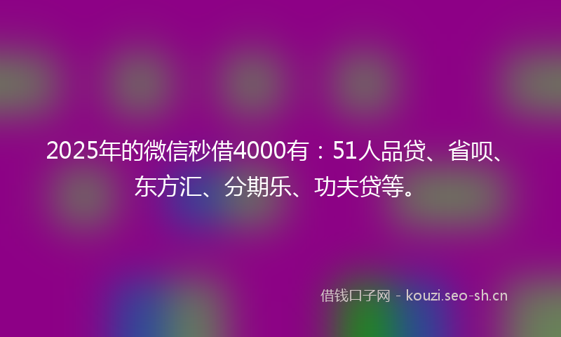 2025年的微信秒借4000有：51人品贷、省呗、东方汇、分期乐、功夫贷等。