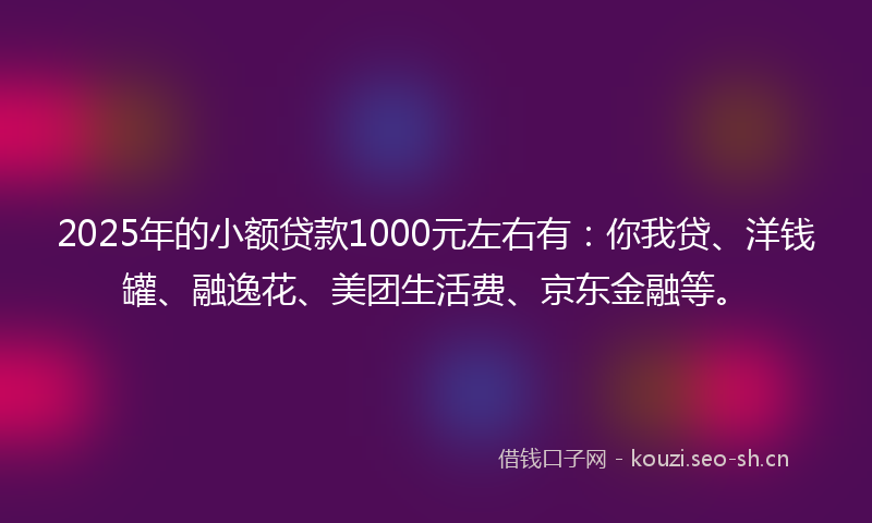 2025年的小额贷款1000元左右有：你我贷、洋钱罐、融逸花、美团生活费、京东金融等。