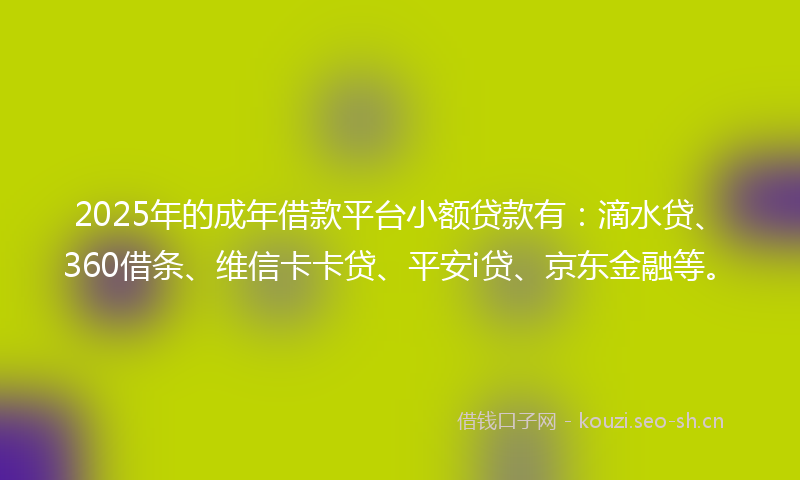 2025年的成年借款平台小额贷款有：滴水贷、360借条、维信卡卡贷、平安i贷、京东金融等。