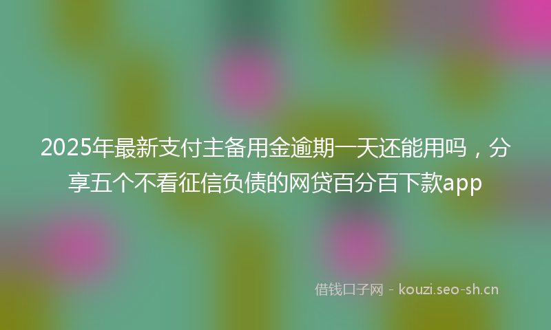 2025年最新支付主备用金逾期一天还能用吗，分享五个不看征信负债的网贷百分百下款app