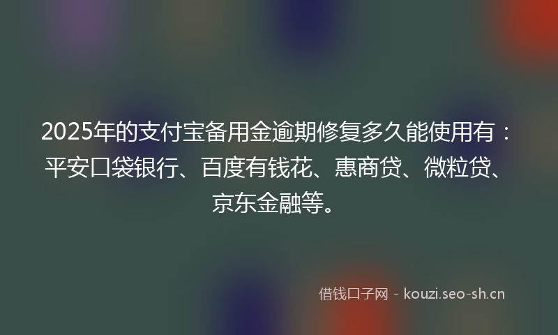 2025年的支付宝备用金逾期修复多久能使用有：平安口袋银行、百度有钱花、惠商贷、微粒贷、京东金融等。