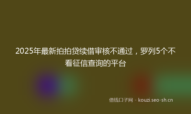 2025年最新拍拍贷续借审核不通过，罗列5个不看征信查询的平台