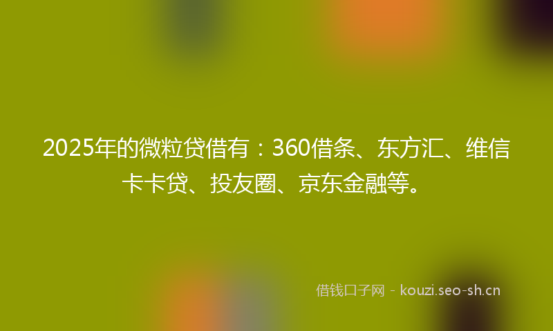 2025年的微粒贷借有：360借条、东方汇、维信卡卡贷、投友圈、京东金融等。