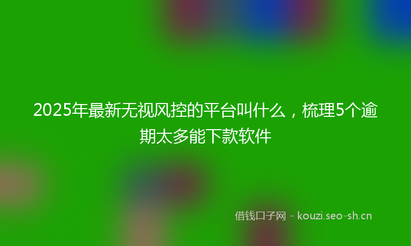 2025年最新无视风控的平台叫什么，梳理5个逾期太多能下款软件