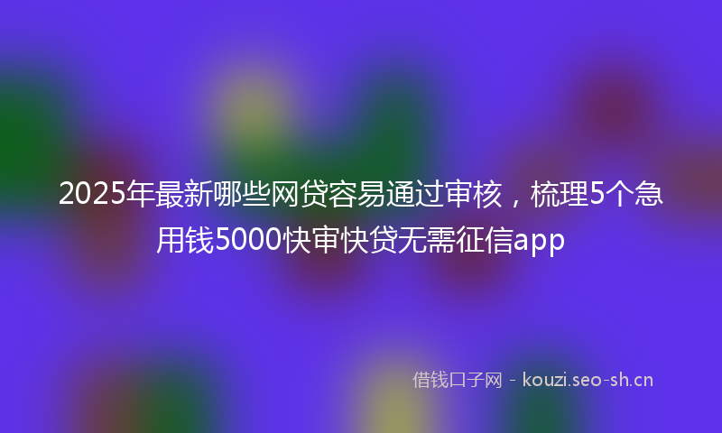 2025年最新哪些网贷容易通过审核，梳理5个急用钱5000快审快贷无需征信app