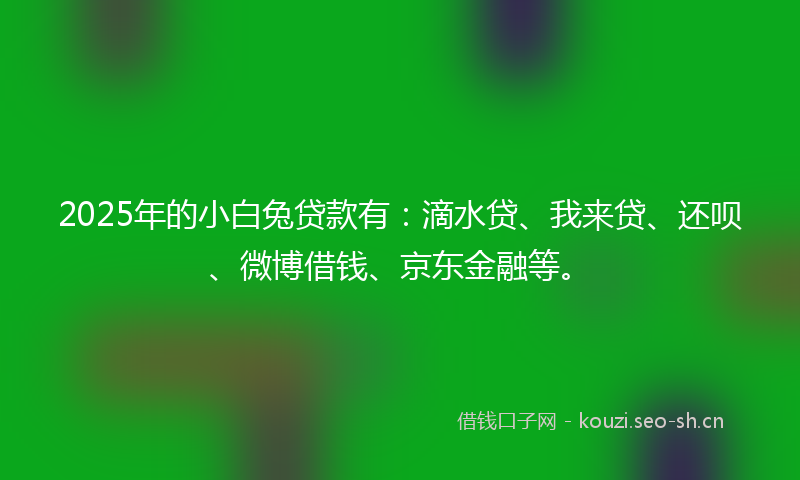 2025年的小白兔贷款有：滴水贷、我来贷、还呗、微博借钱、京东金融等。