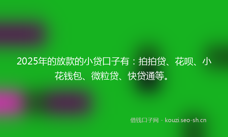 2025年的放款的小贷口子有：拍拍贷、花呗、小花钱包、微粒贷、快贷通等。