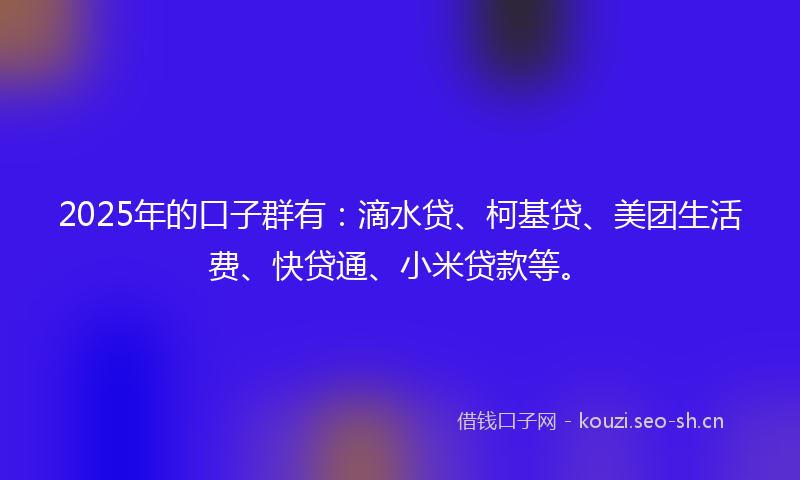 2025年的口子群有：滴水贷、柯基贷、美团生活费、快贷通、小米贷款等。
