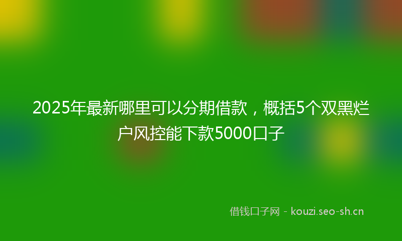 2025年最新哪里可以分期借款，概括5个双黑烂户风控能下款5000口子