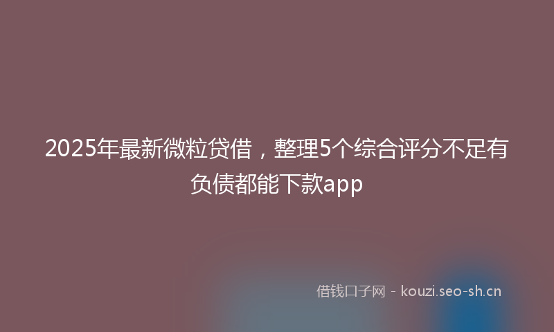 2025年最新微粒贷借,整理5个综合评分不足有负债都能下款app
