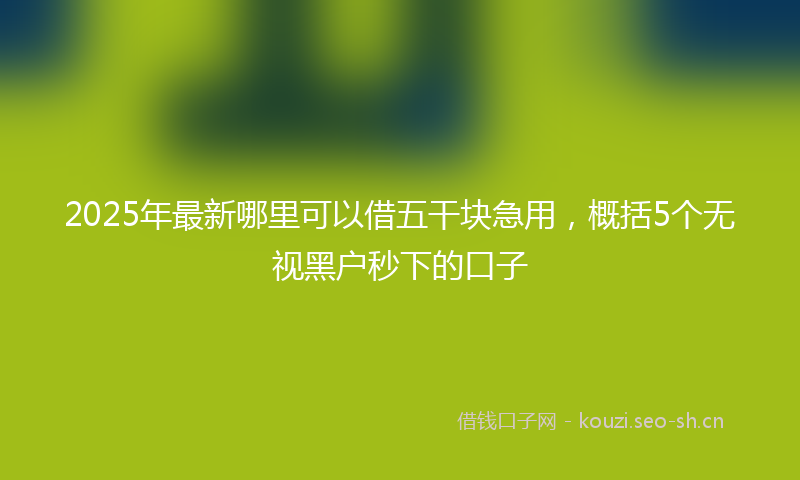 2025年最新哪里可以借五干块急用，概括5个无视黑户秒下的口子