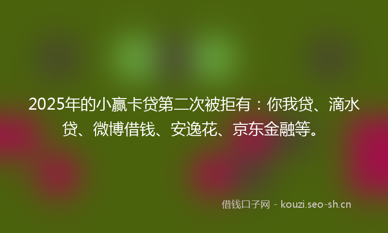 2025年的小赢卡贷第二次被拒有：你我贷、滴水贷、微博借钱、安逸花、京东金融等。