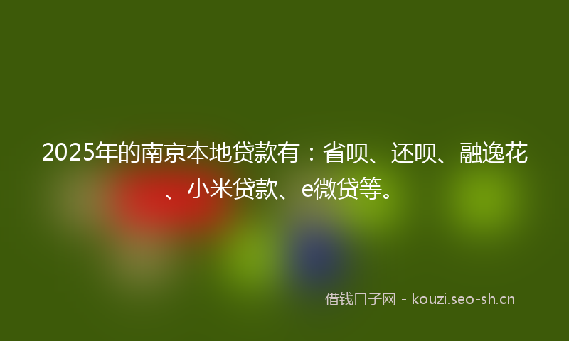 2025年的南京本地贷款有：省呗、还呗、融逸花、小米贷款、e微贷等。