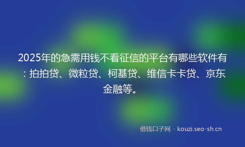 2025年的急需用钱不看征信的平台有哪些软件有：拍拍贷、微粒贷、柯基贷、维信卡卡贷、京东金融等。