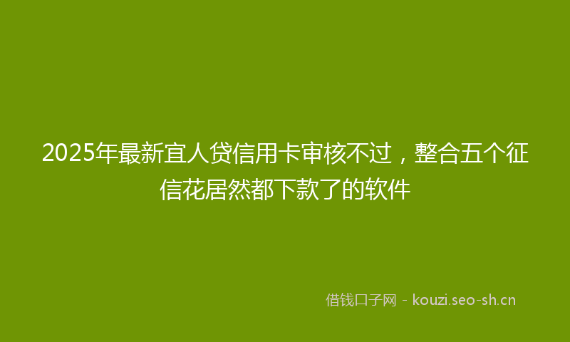 2025年最新宜人贷信用卡审核不过，整合五个征信花居然都下款了的软件