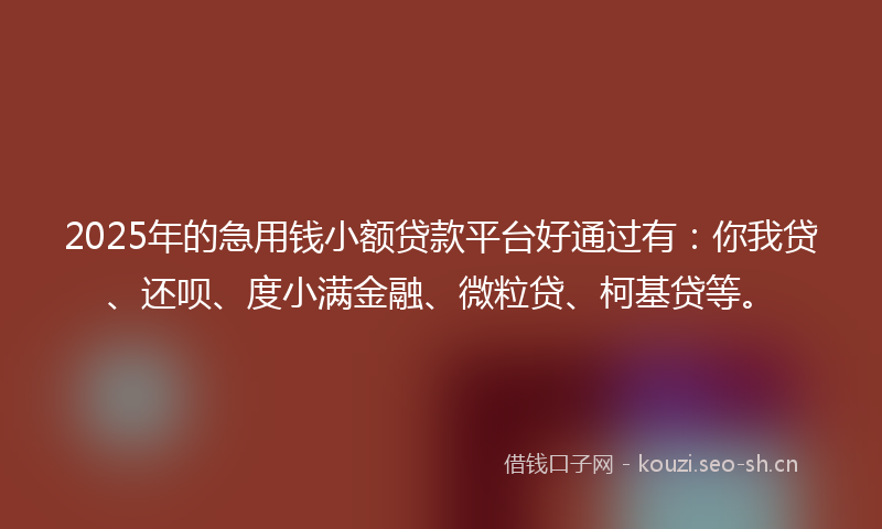 2025年的急用钱小额贷款平台好通过有：你我贷、还呗、度小满金融、微粒贷、柯基贷等。