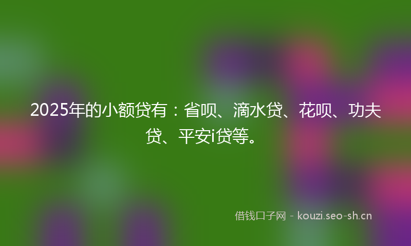 2025年的小额贷有：省呗、滴水贷、花呗、功夫贷、平安i贷等。