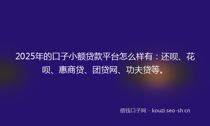 2025年的口子小额贷款平台怎么样有：还呗、花呗、惠商贷、团贷网、功夫贷等。