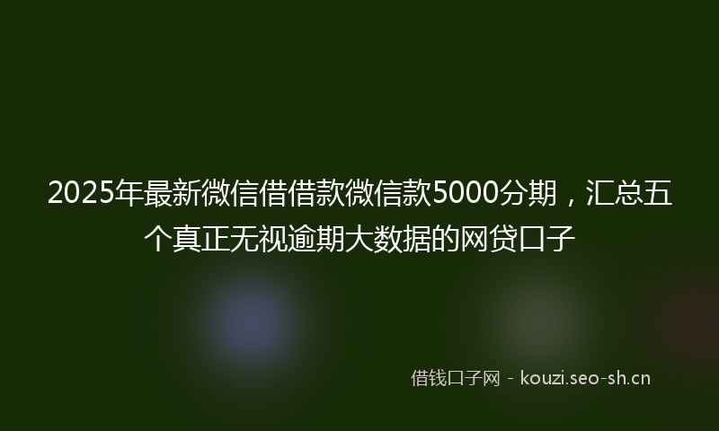 2025年最新微信借借款微信款5000分期，汇总五个真正无视逾期大数据的网贷口子