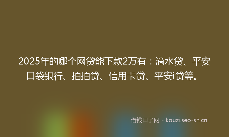 2025年的哪个网贷能下款2万有：滴水贷、平安口袋银行、拍拍贷、信用卡贷、平安i贷等。
