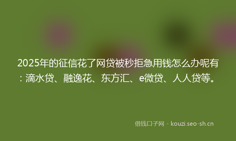 2025年的征信花了网贷被秒拒急用钱怎么办呢有：滴水贷、融逸花、东方汇、e微贷、人人贷等。