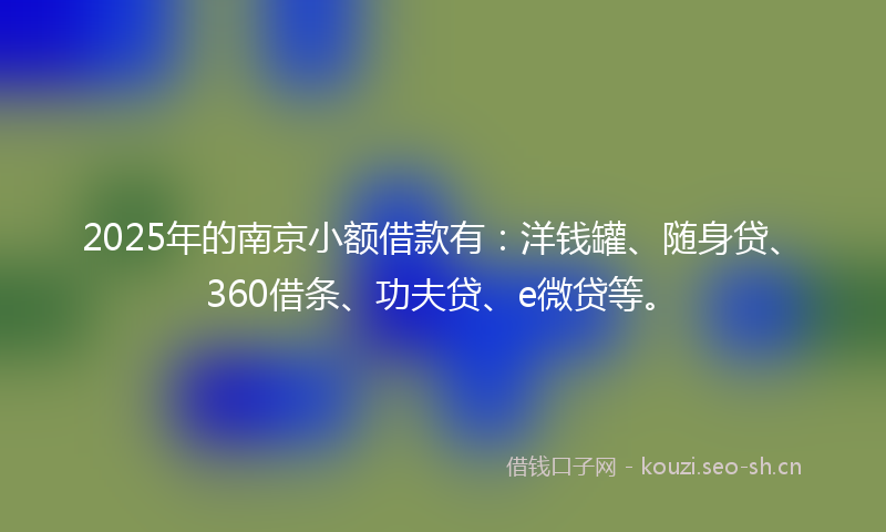 2025年的南京小额借款有：洋钱罐、随身贷、360借条、功夫贷、e微贷等。