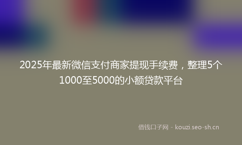 2025年最新微信支付商家提现手续费，整理5个1000至5000的小额贷款平台