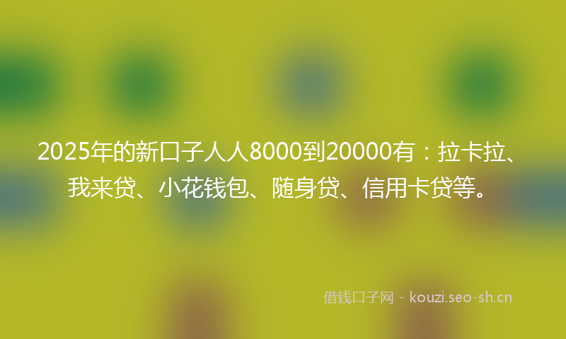 2025年的新口子人人8000到20000有：拉卡拉、我来贷、小花钱包、随身贷、信用卡贷等。