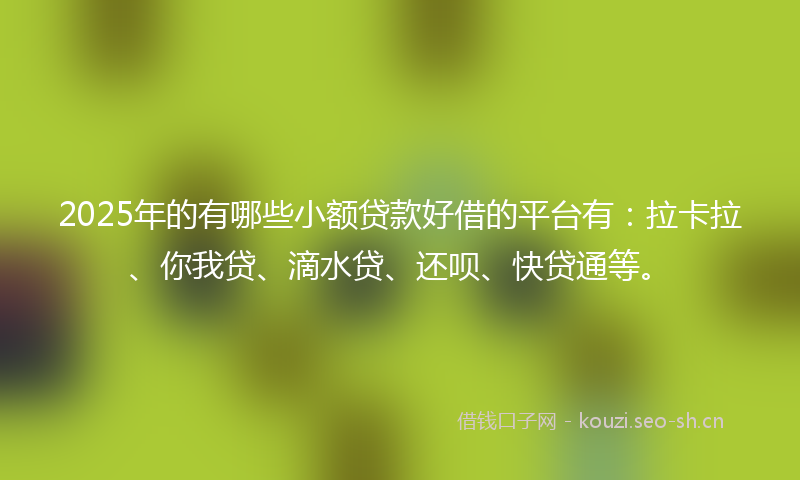 2025年的有哪些小额贷款好借的平台有：拉卡拉、你我贷、滴水贷、还呗、快贷通等。