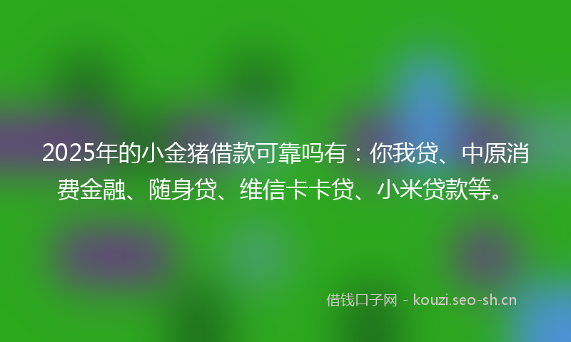 2025年的小金猪借款可靠吗有：你我贷、中原消费金融、随身贷、维信卡卡贷、小米贷款等。