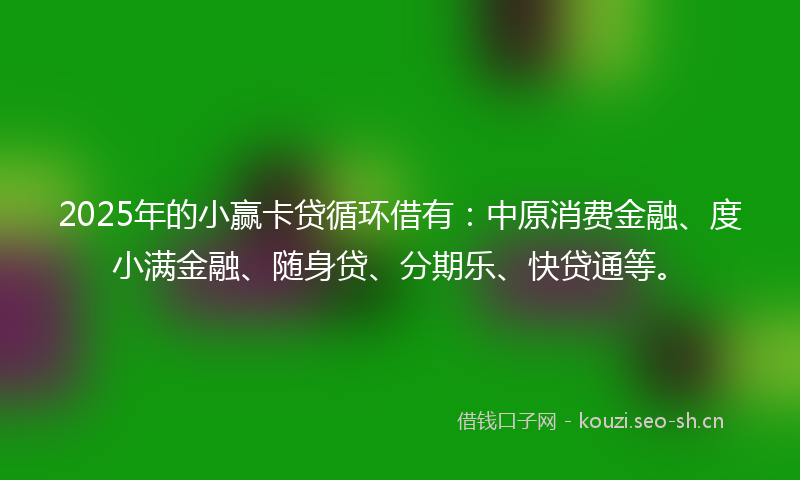 2025年的小赢卡贷循环借有:中原消费金融、度小满金融、随身贷、分期乐、快贷通等。