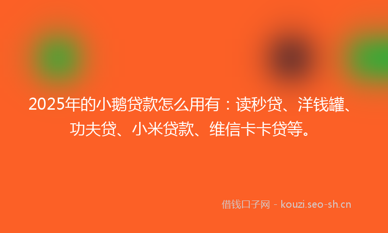 2025年的小鹅贷款怎么用有：读秒贷、洋钱罐、功夫贷、小米贷款、维信卡卡贷等。