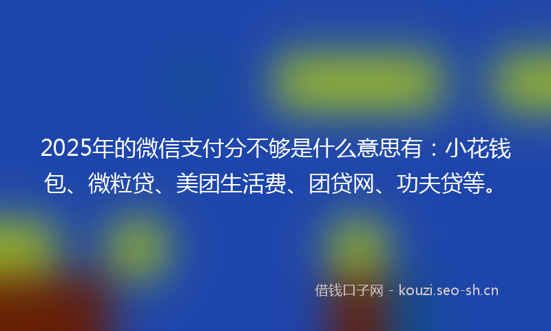 2025年的微信支付分不够是什么意思有：小花钱包、微粒贷、美团生活费、团贷网、功夫贷等。