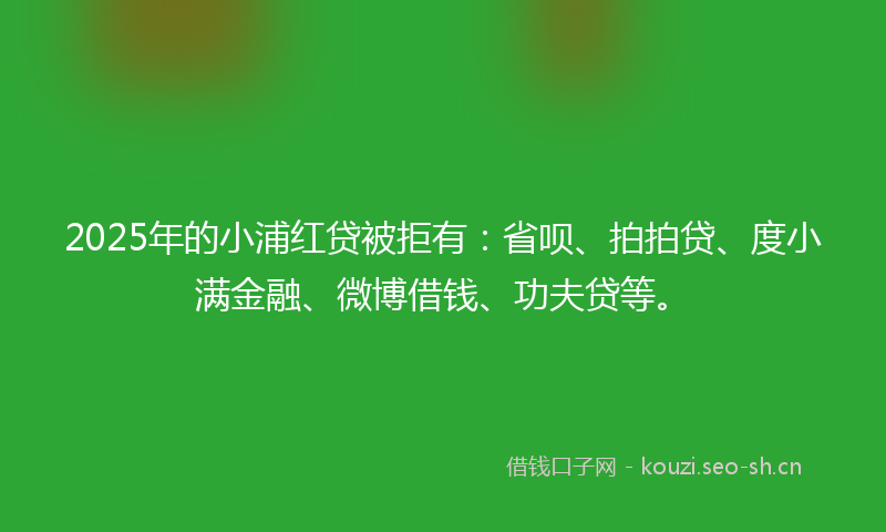 2025年的小浦红贷被拒有：省呗、拍拍贷、度小满金融、微博借钱、功夫贷等。