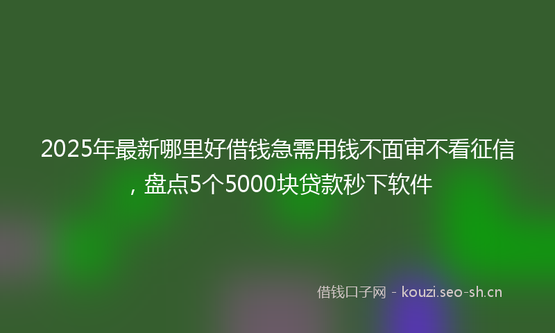 2025年最新哪里好借钱急需用钱不面审不看征信，盘点5个5000块贷款秒下软件