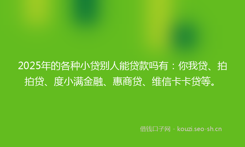 2025年的各种小贷别人能贷款吗有：你我贷、拍拍贷、度小满金融、惠商贷、维信卡卡贷等。