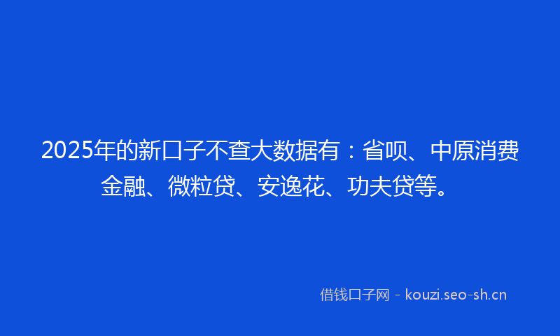 2025年的新口子不查大数据有:省呗、中原消费金融、微粒贷、安逸花、功夫贷等。