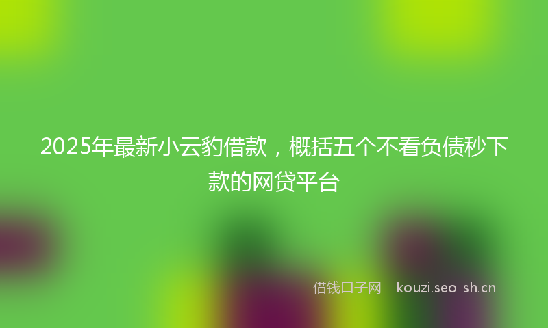 2025年最新小云豹借款，概括五个不看负债秒下款的网贷平台