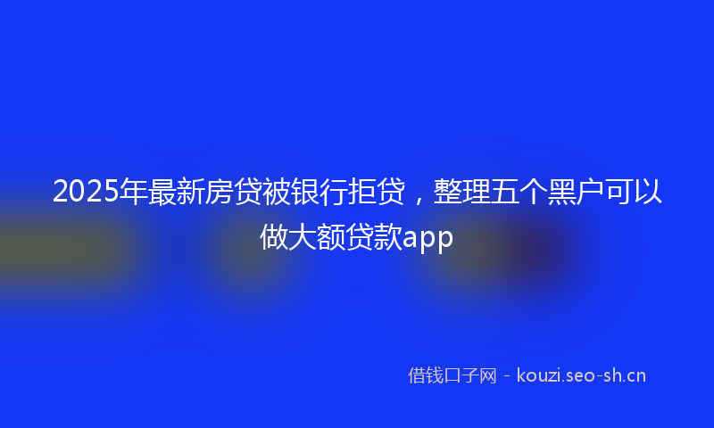 2025年最新房贷被银行拒贷，整理五个黑户可以做大额贷款app