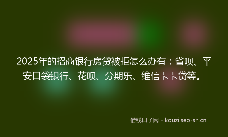 2025年的招商银行房贷被拒怎么办有：省呗、平安口袋银行、花呗、分期乐、维信卡卡贷等。