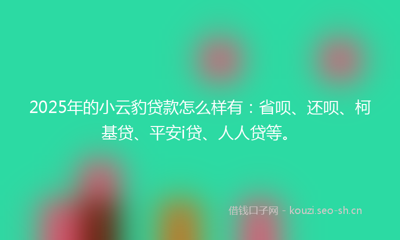 2025年的小云豹贷款怎么样有：省呗、还呗、柯基贷、平安i贷、人人贷等。