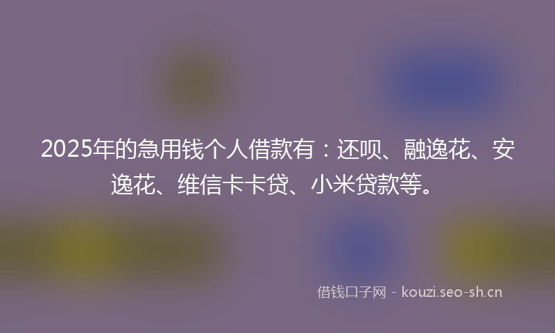 2025年的急用钱个人借款有：还呗、融逸花、安逸花、维信卡卡贷、小米贷款等。