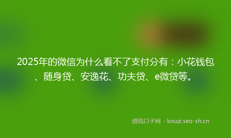 2025年的微信为什么看不了支付分有：小花钱包、随身贷、安逸花、功夫贷、e微贷等。