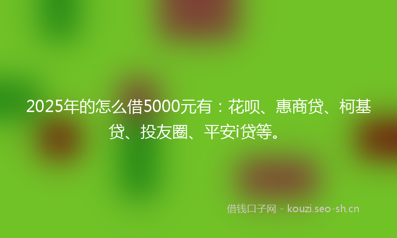 2025年的怎么借5000元有：花呗、惠商贷、柯基贷、投友圈、平安i贷等。