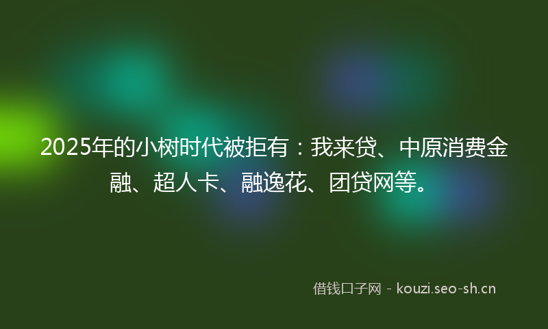 2025年的小树时代被拒有：我来贷、中原消费金融、超人卡、融逸花、团贷网等。