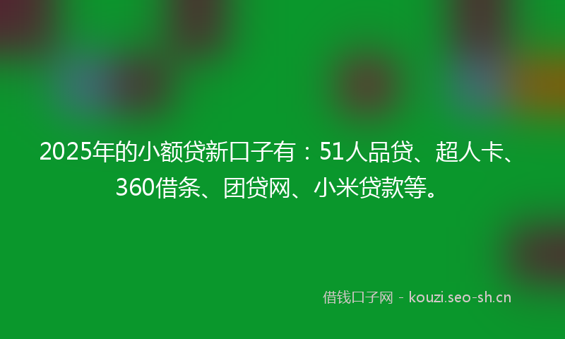 2025年的小额贷新口子有：51人品贷、超人卡、360借条、团贷网、小米贷款等。
