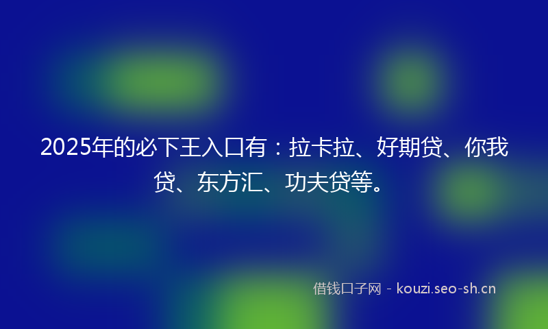 2025年的必下王入口有：拉卡拉、好期贷、你我贷、东方汇、功夫贷等。